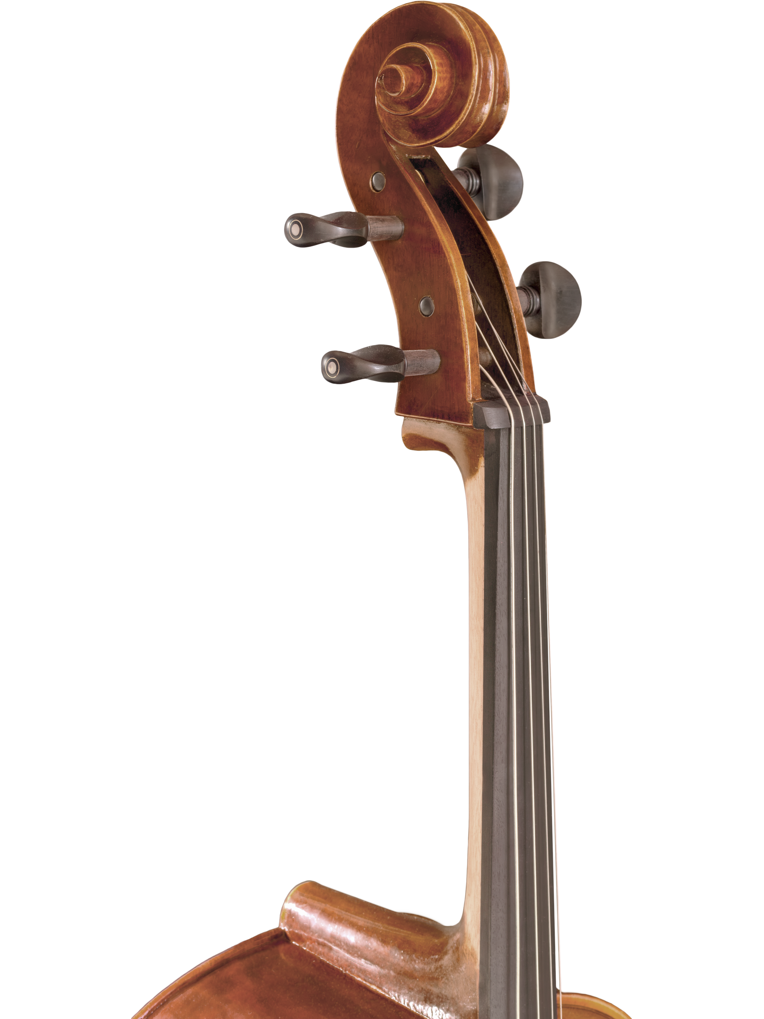 Ruby Cello Series — Maple Leaf Strings